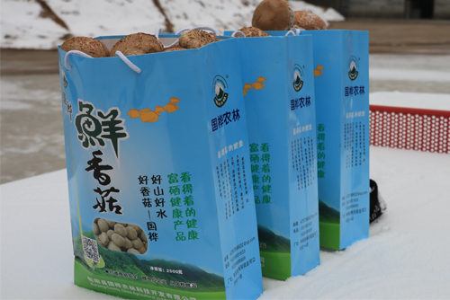 鲜菇产品